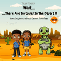 Wait...There Are Tortoises In the Desert?!