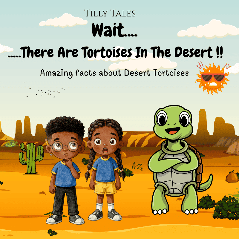 Wait...There Are Tortoises In the Desert?!