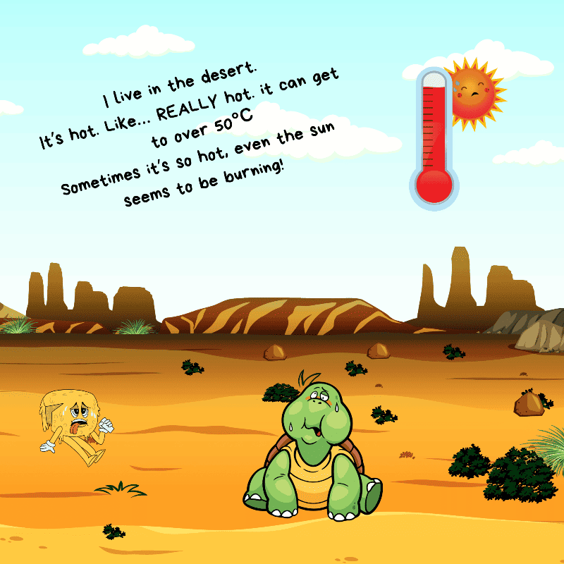 Wait...There Are Tortoises In the Desert?!